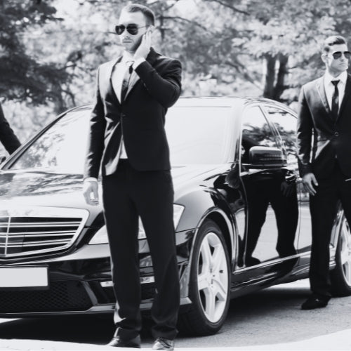 SEGURIDAD VIP Y ESCOLTAS